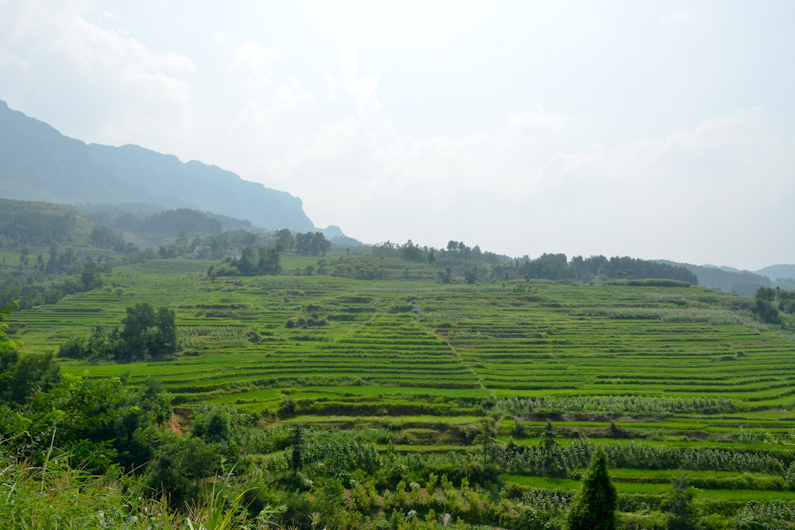 堯坪自然村 堯坪自然村