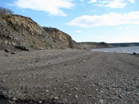 喬金斯化石崖壁