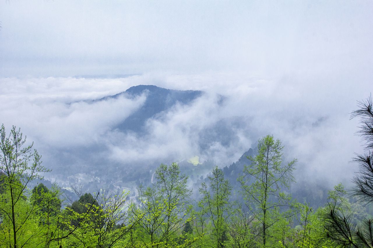 金城山生態旅遊度假區