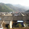 中村村(浙江省寧波市餘姚市鹿亭鄉下轄村)