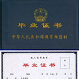 高等教育