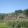 大魚塘村(雲南省曲靖市富源縣中安鎮大魚塘村) 大魚塘村(雲南省曲靖市富源縣中安鎮大魚塘村)