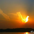 火鳳凰(北京自然現象) 火鳳凰(北京自然現象)