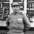 胡素 胡素