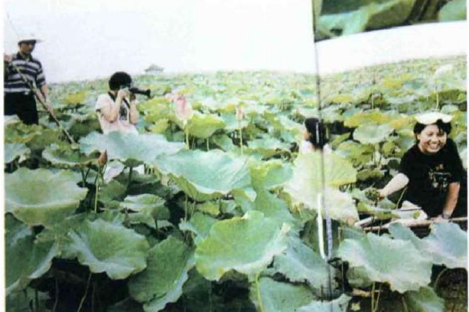 沙套湖