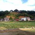 文坪村(福建省泉州市安溪縣長坑鄉下轄村) 文坪村(福建省泉州市安溪縣長坑鄉下轄村)