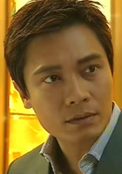 流金歲月(2002年羅嘉良、宣萱主演TVB電視劇)