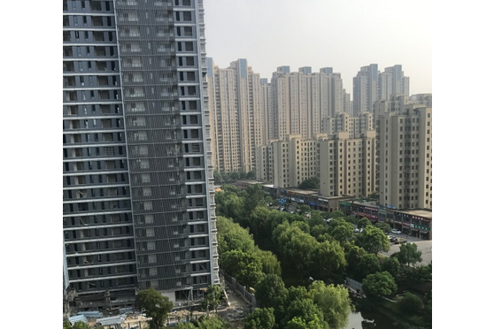 荷裕庭 荷裕庭