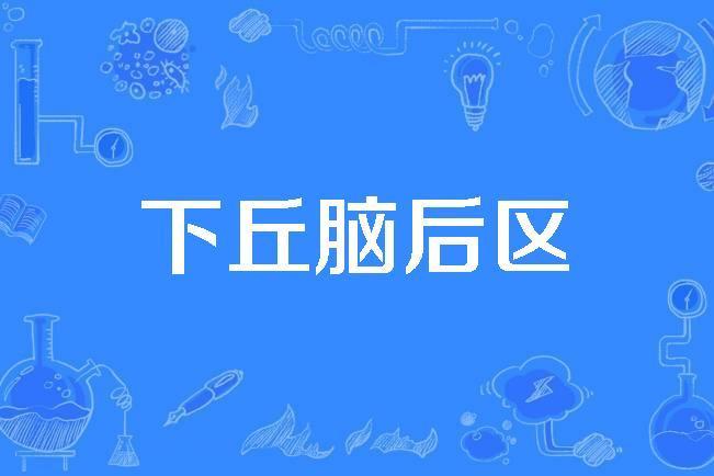 下丘腦後區 下丘腦後區