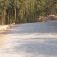 山民村 山民村