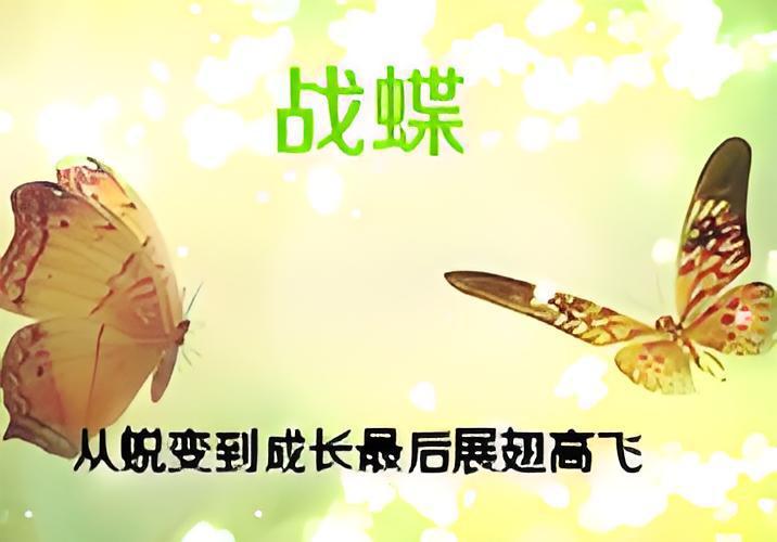戰蝶 戰蝶