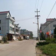 南塢村(浙江省衢州市江山市鳳林鎮下轄村) 南塢村(浙江省衢州市江山市鳳林鎮下轄村)