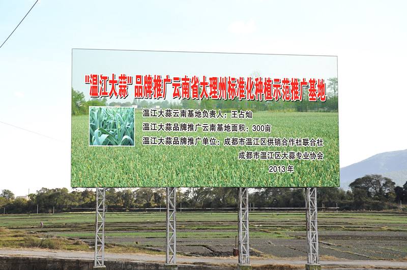 雲南省大理州溫江大蒜標準化種植示範推廣基地