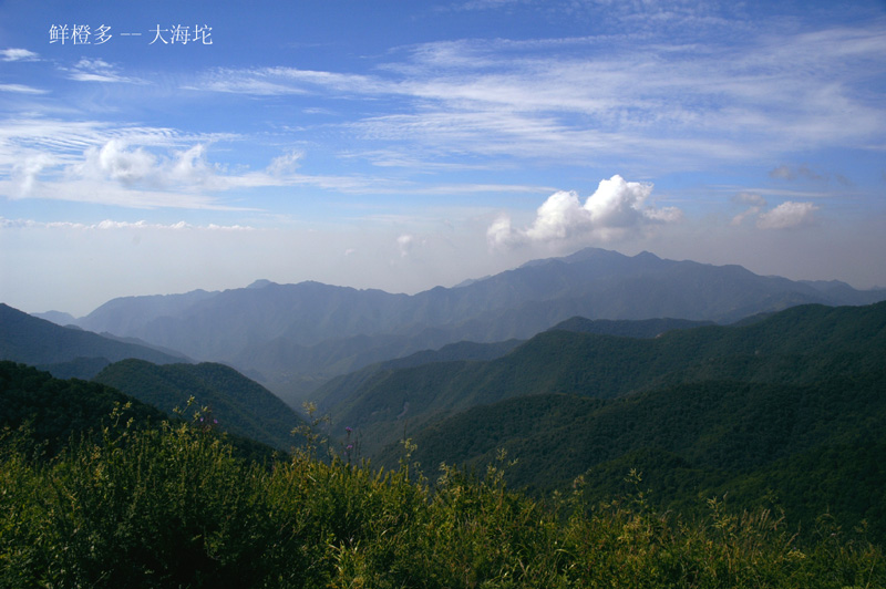 大海坨