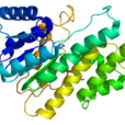 CBR1