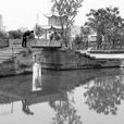 金價橋 金價橋