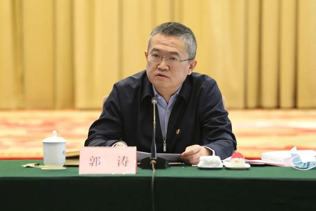 郭濤(新疆維吾爾自治區黨委組織部副部長) 郭濤(新疆維吾爾自治區黨委組織部副部長)