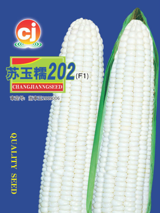蘇玉糯202 蘇玉糯202