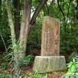 汀溪窯遺址 汀溪窯遺址