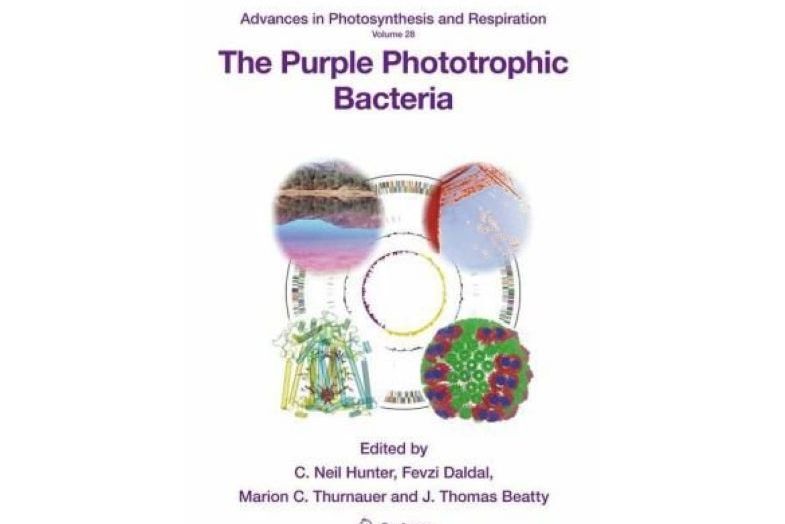 The Purple Phototrophic Bacteria The Purple Phototrophic Bacteria