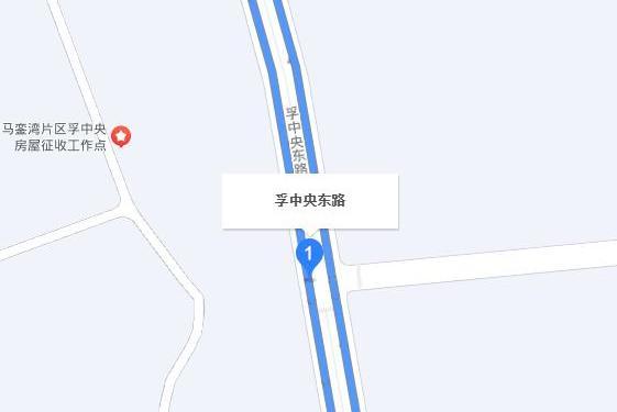 孚中央東路 孚中央東路