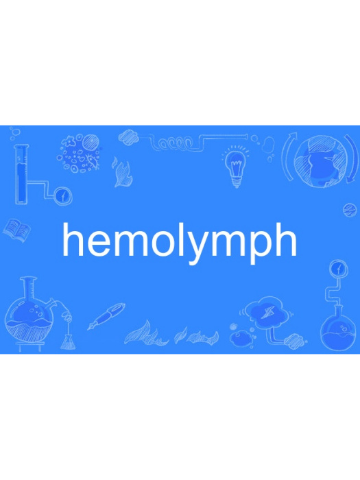 hemolymph hemolymph