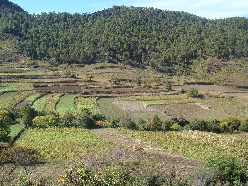 古二鄉(四川省涼山彝族自治州越西縣古二鄉) 古二鄉(四川省涼山彝族自治州越西縣古二鄉)