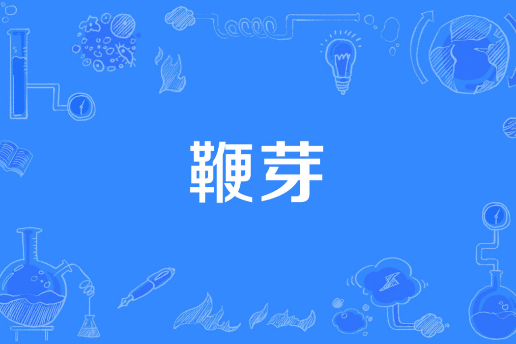 鞭芽 鞭芽