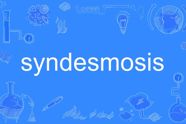 syndesmosis syndesmosis