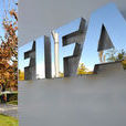 國際足球聯合會(FIFA（國際足球聯合會）)