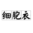 細胞衣 細胞衣