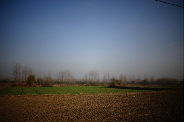 林莊墓地 林莊墓地