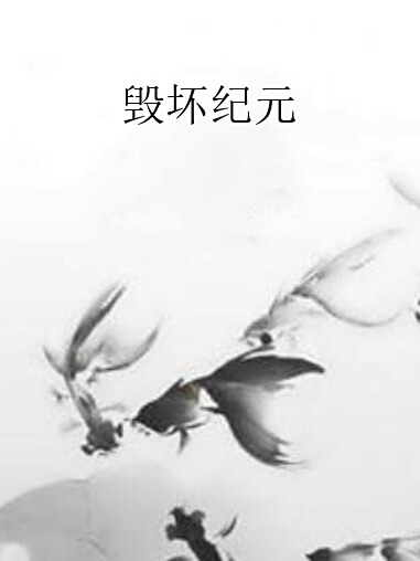 毀壞紀元 毀壞紀元