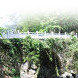 東元村(浙江省溫州市瑞安市芳莊鄉東元村) 東元村(浙江省溫州市瑞安市芳莊鄉東元村)