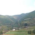 龍樹村(雲南南澗縣無量山鎮下轄村) 龍樹村(雲南南澗縣無量山鎮下轄村)