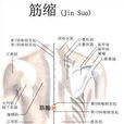 筋縮穴 筋縮穴