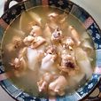 椰子雞 椰子雞