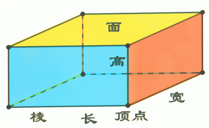 圖1 長方體的認識