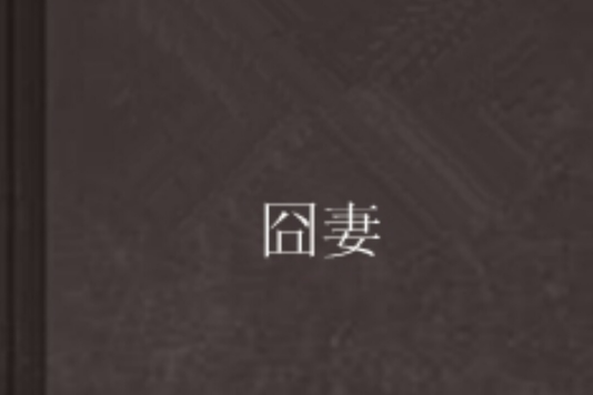 囧妻 囧妻