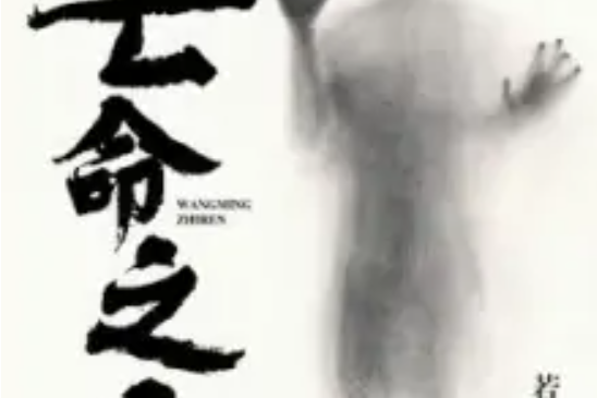 亡命之人 亡命之人