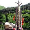 寺口鎮 寺口鎮