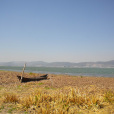 杞麓湖(通海杞麓湖) 杞麓湖(通海杞麓湖)