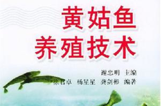 黃姑魚養殖技術