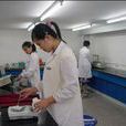 織物分析