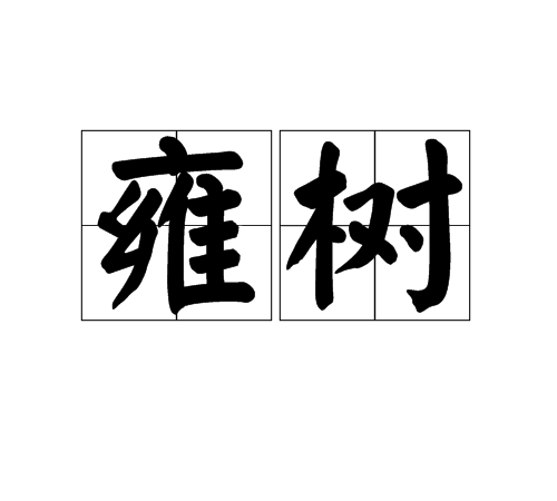 雍樹 雍樹