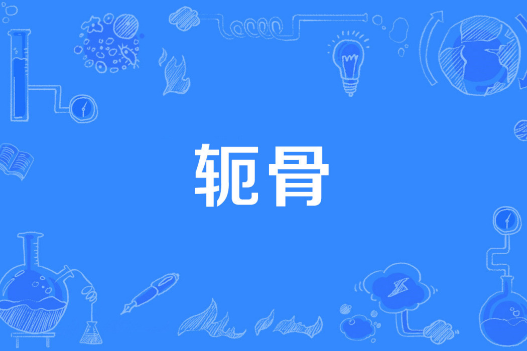 軛骨 軛骨