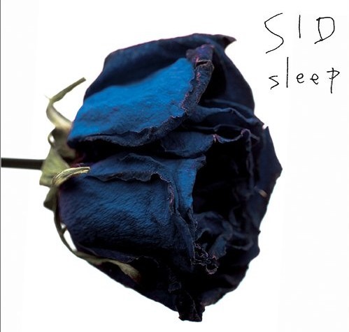 SLEEP(Sid演唱歌曲)