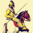 騎士制度(詞語騎士制度)