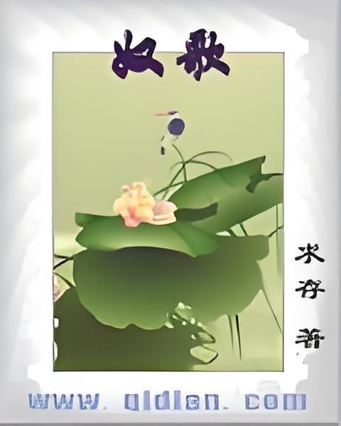 奴歌 奴歌