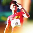 林清(跳遠運動員) 林清(跳遠運動員)
